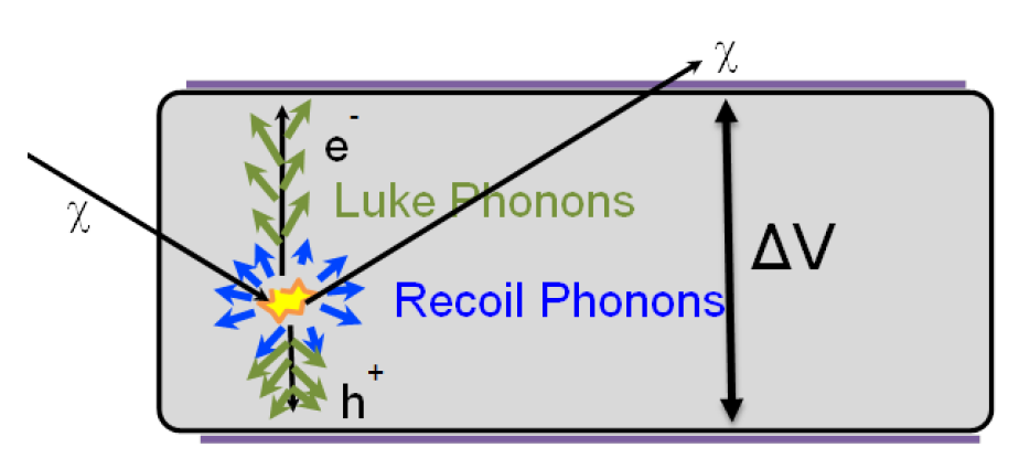 Detection mechanism cartoon